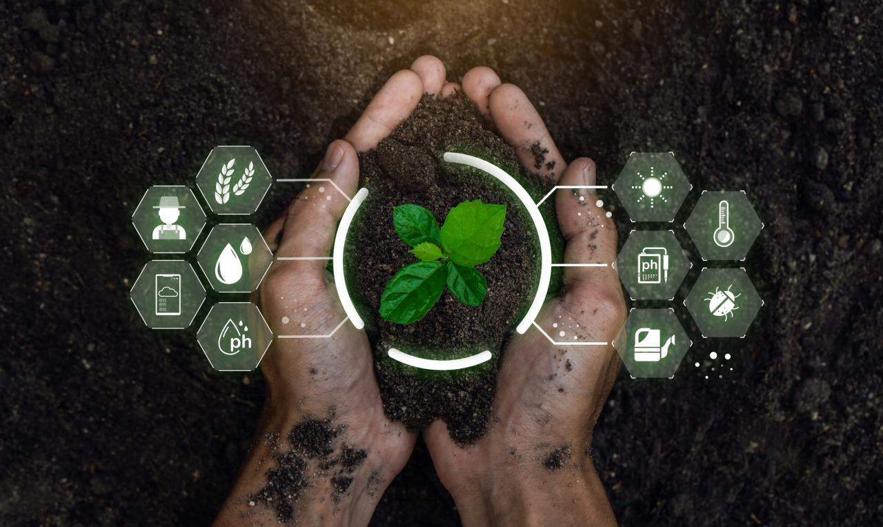 Hands cupping soil with a small plant growing, surrounded by futuristic hexagonal icons representing agricultural data and technology.